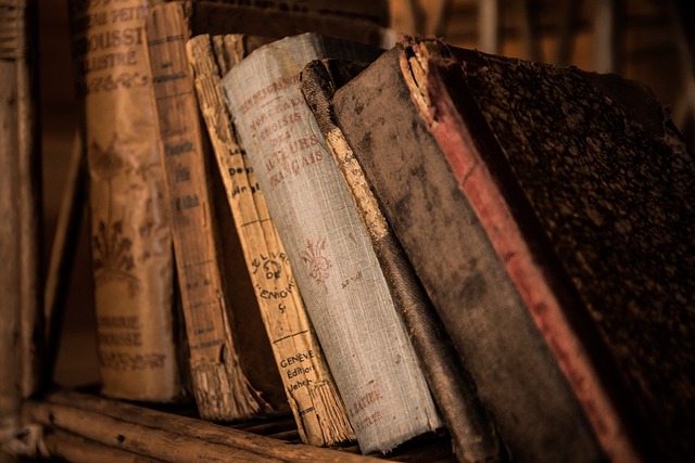 Desarrollar Diálogos en un Libro